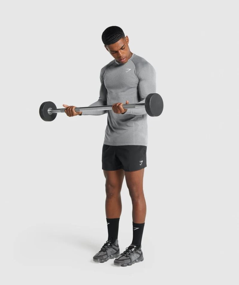 Men's Gymshark Vital Light Seamless Long Sleeve T-Shirts Grey | NZ 5XKVNL